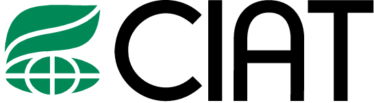 Zalisha partner