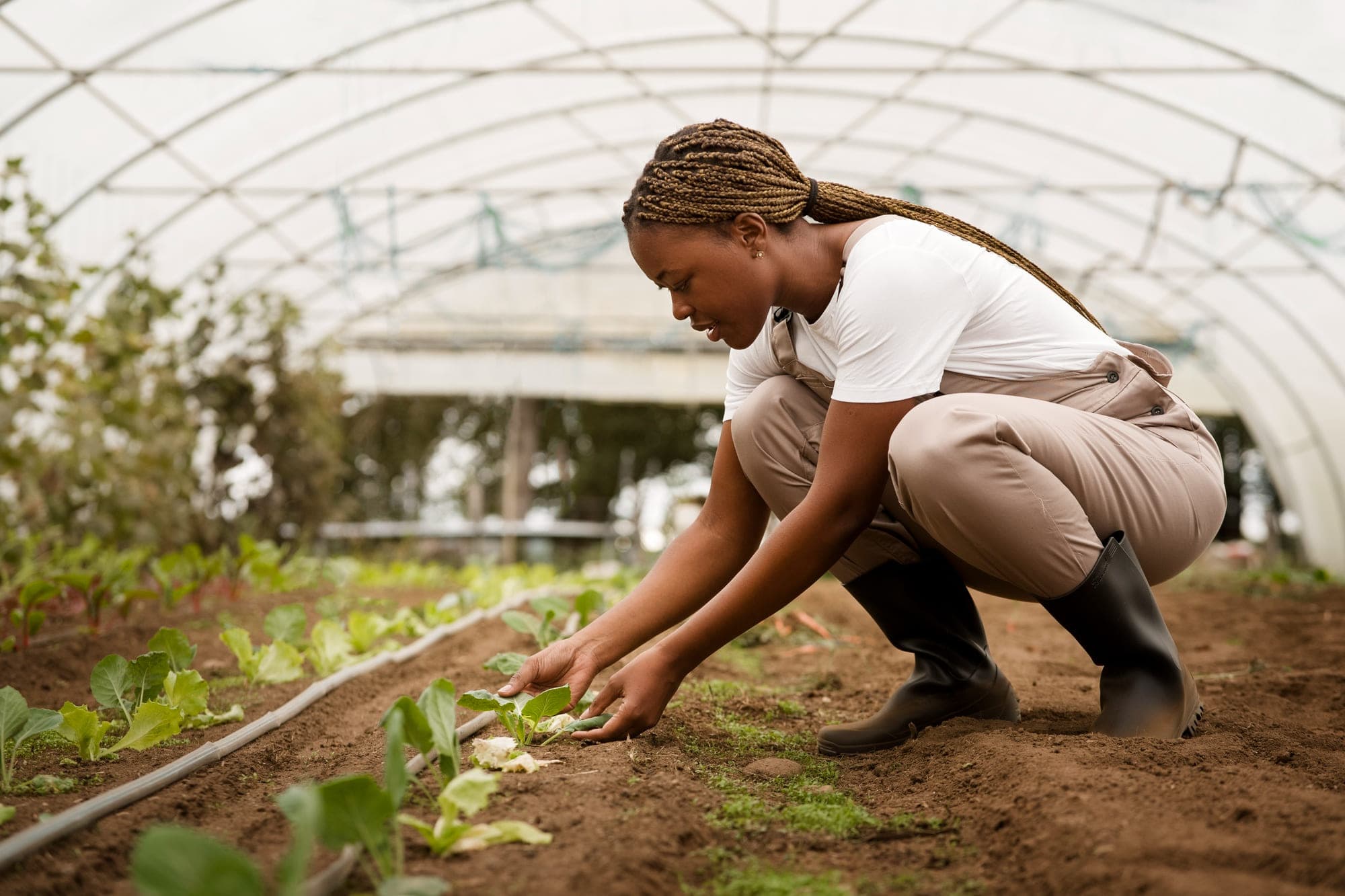 Zalisha provides precision farming