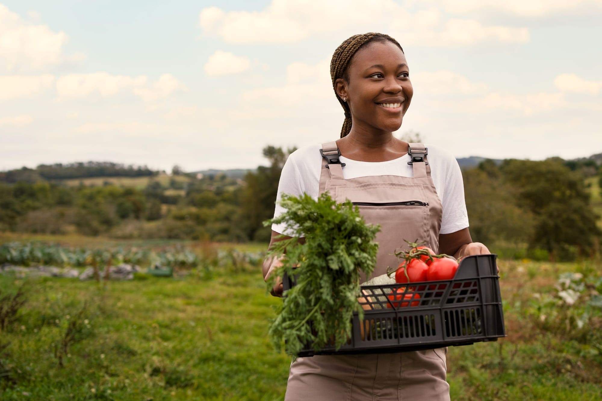 Zalisha - accessible finance for farmers