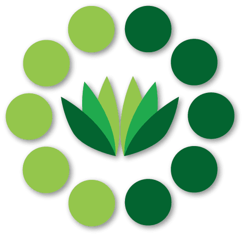 Zalisha Icon