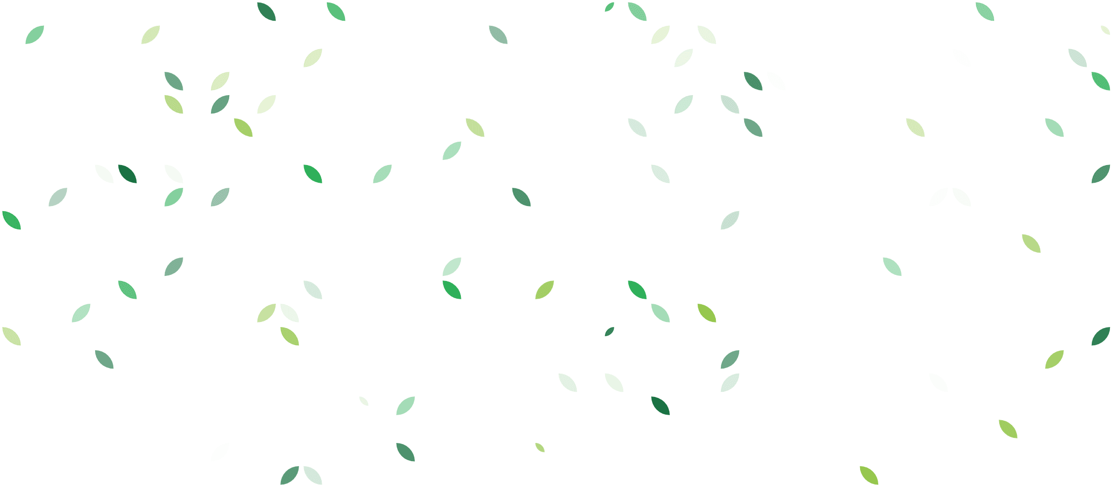 Zalisha pattern