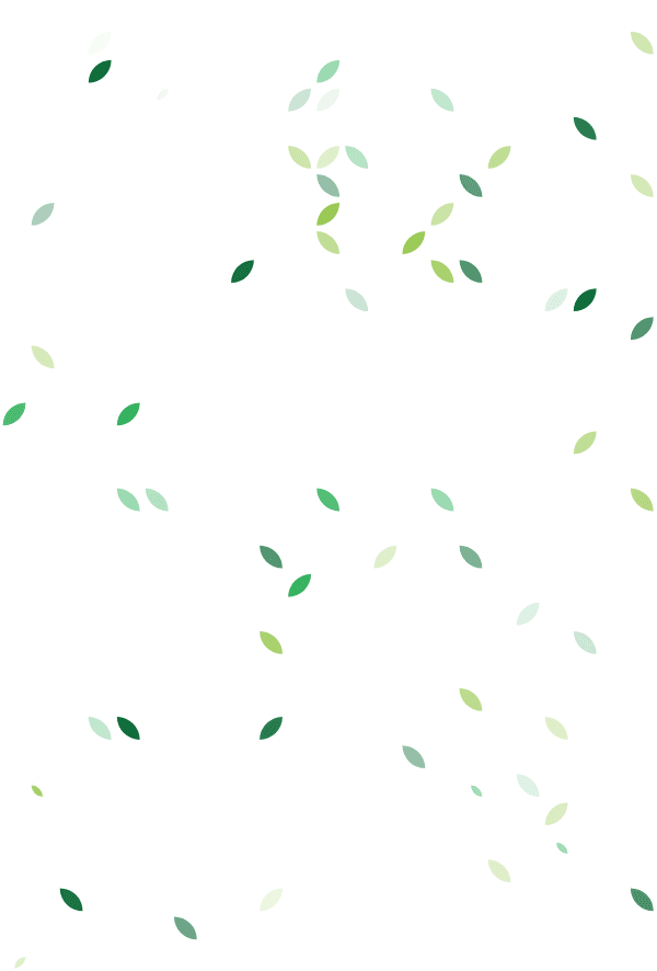 Zalisha pattern